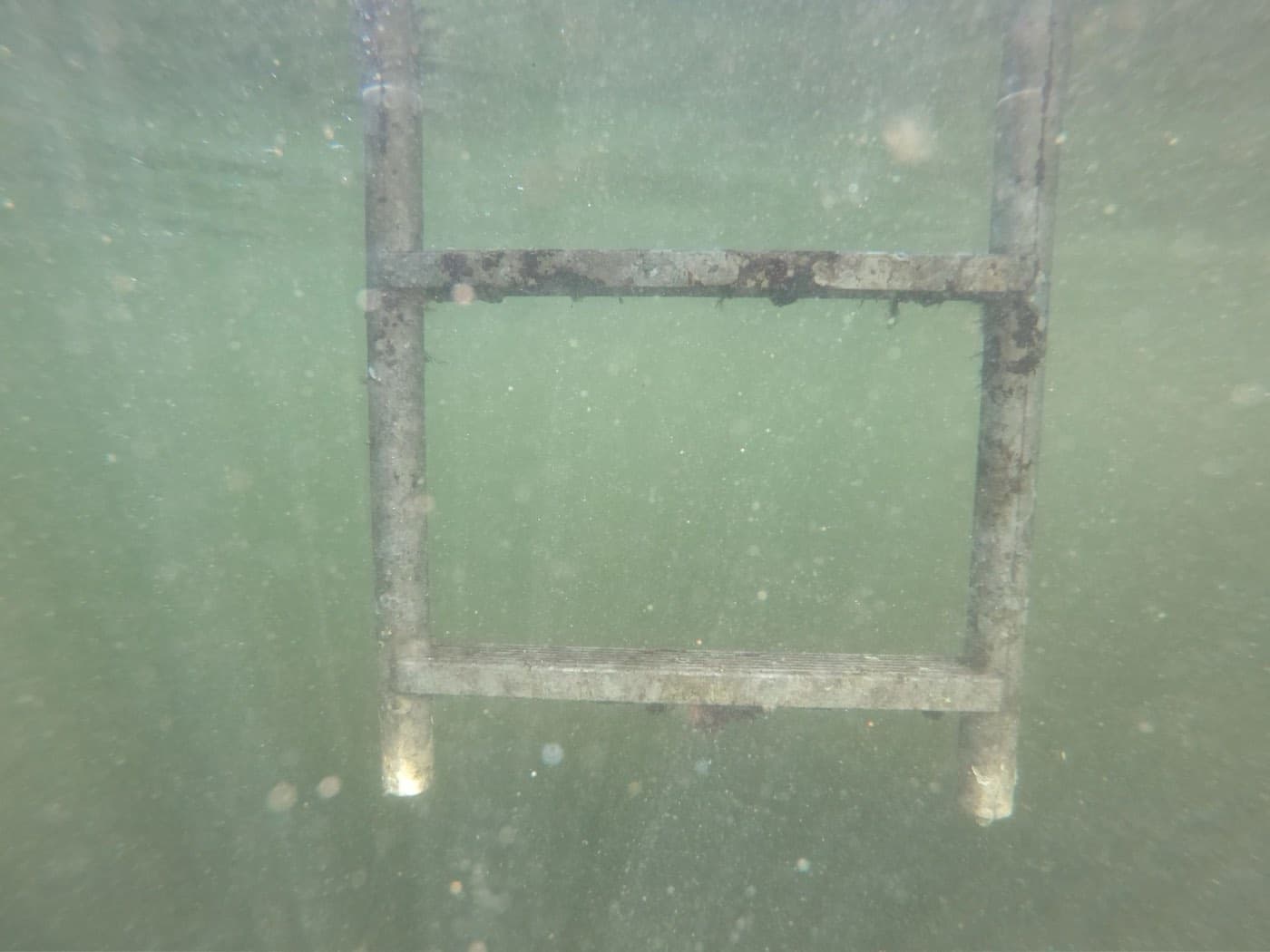 Underwater view of a cleaned dock ladder