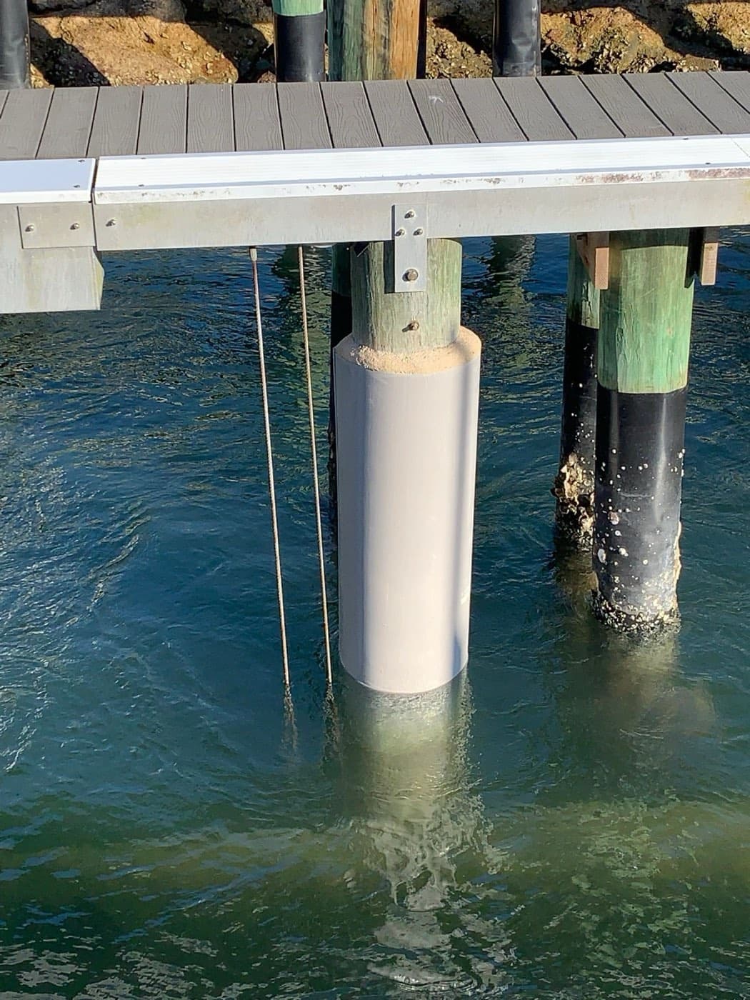 Snap Jacket sleeve installed on a dock piling beside unprotected pilings