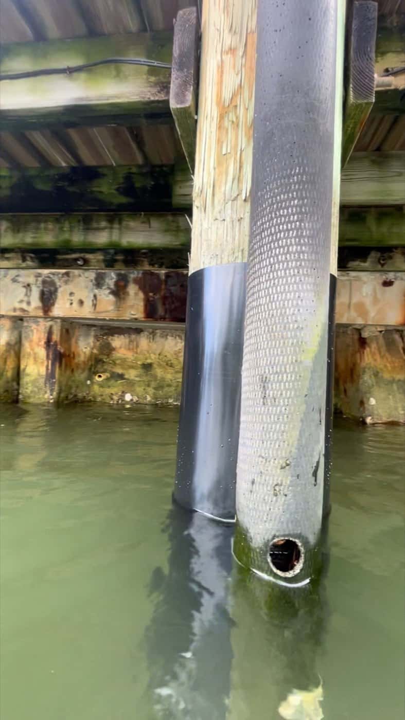 Dock piling protected with a black HDPE piling wrap