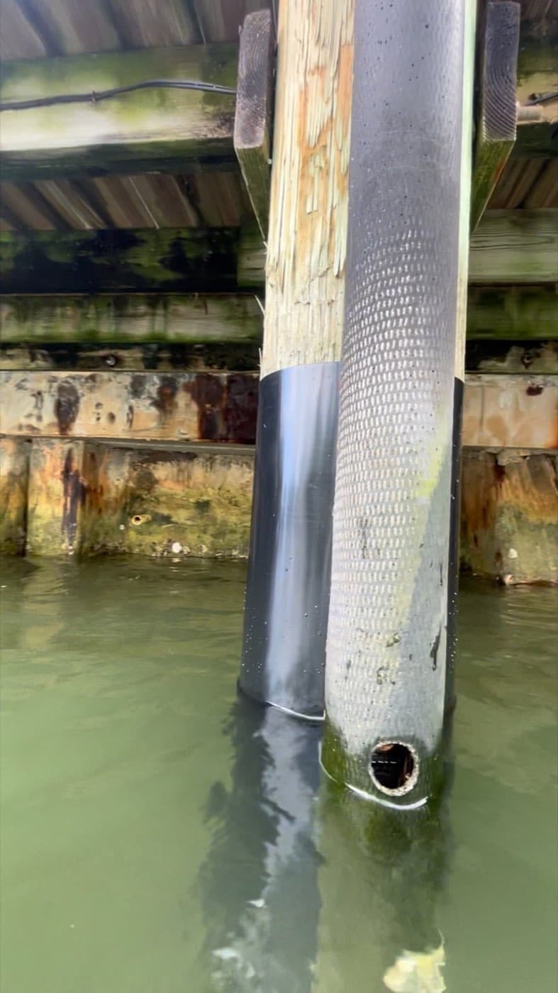 Dock piling protected with a black HDPE piling wrap